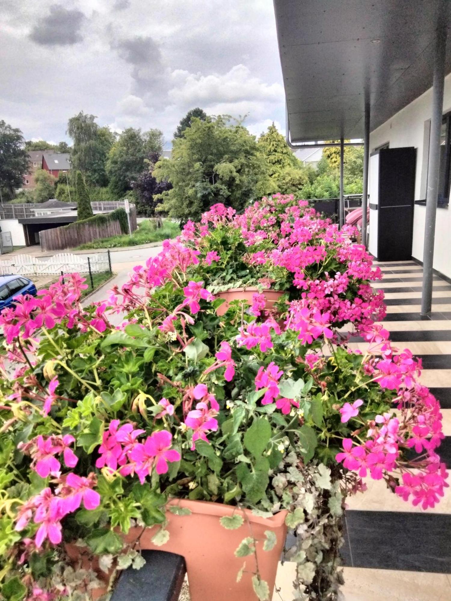 Komfort-Ferienwohnung Mit Ostseeblick ,Entspannung Flensburg Exteriér fotografie